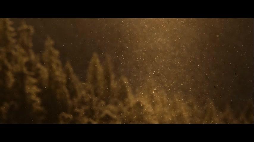 Das Flüstern der Wälder - Trailer - Deutsch - SD