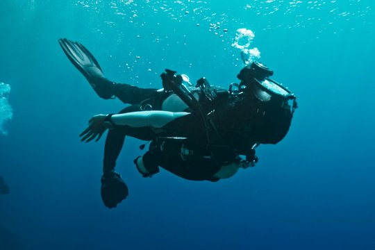 The Dive - Szenenbild 2