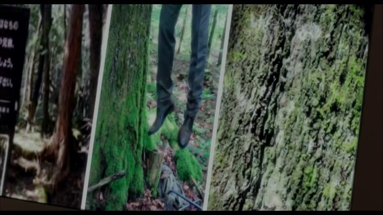 The Forest - Trailer - Deutsch