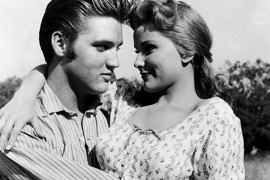 Love Me Tender - Pulverdampf und heiße Lieder - Szenenbild 2