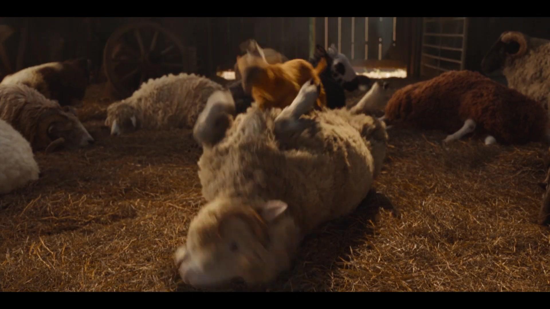 Glennkill - Ein Schafskrimi - Trailer - Englisch - HD