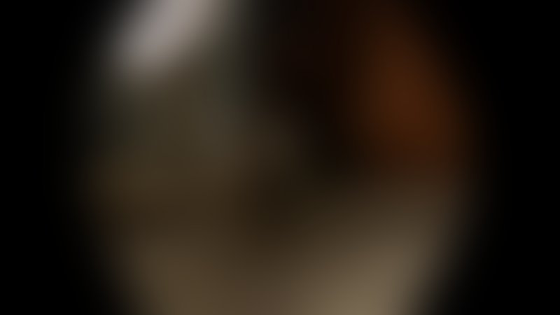 Rise of the Predator - Predator's Prey - Trailer - Englisch - SD