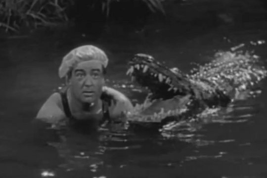 Abbott & Costello in Afrika - Szenenbild 5