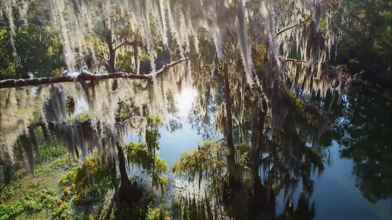 Wildes Sumpfland USA - Trailer - Deutsch - HD