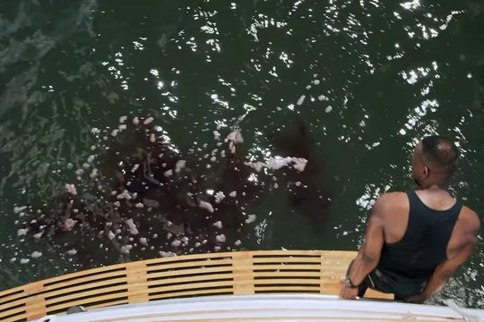 Great White Waters - Szenenbild 1