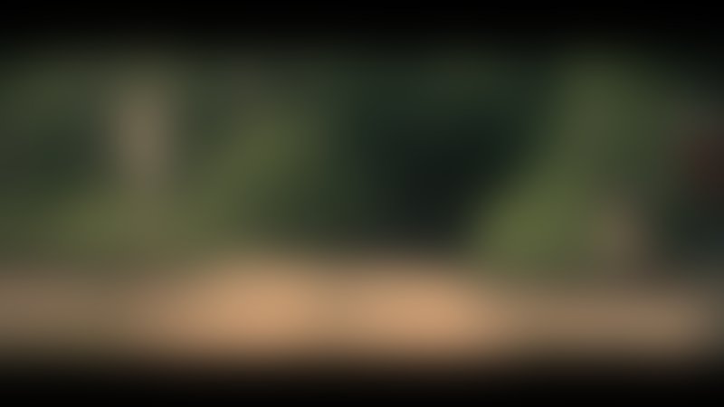 The Long Dark Trail - Trailer - Deutsch - SD