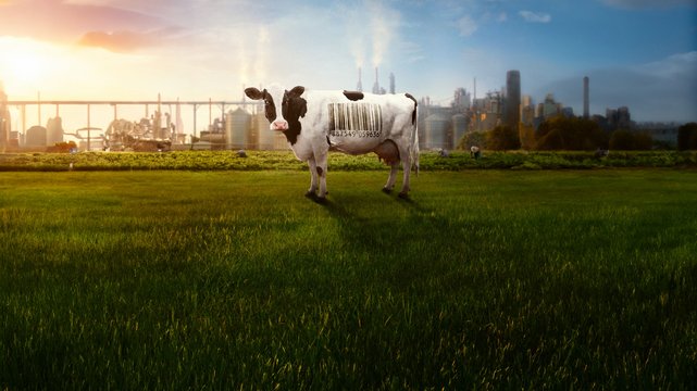 Food, Inc. 2 - Wallpaper 2