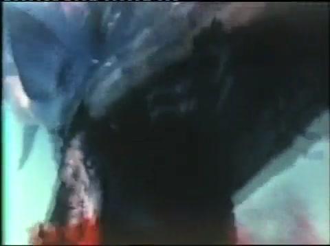 Barracuda - Trailer - Deutsch - SD