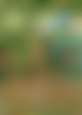 R*!