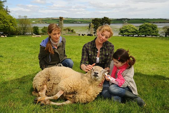 Unsere Farm in Irland - Volume 4 - Szenenbild 1