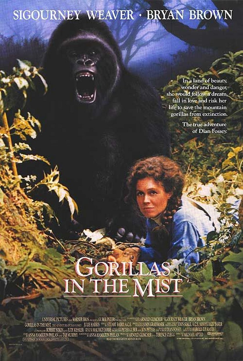 Gorillas Im Nebel Film