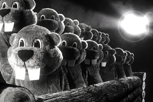 Hundreds of Beavers - Szenenbild 12