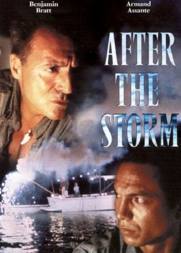 After the Storm - Poster 2