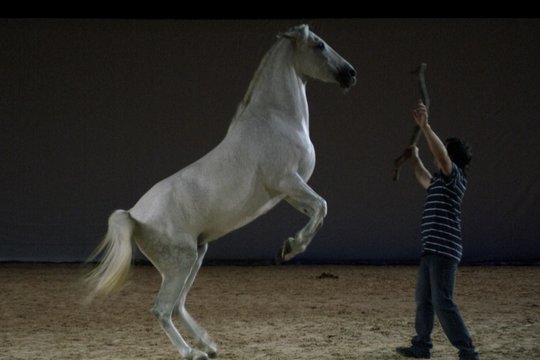 Ein Pferd namens Gazelle - Szenenbild 1