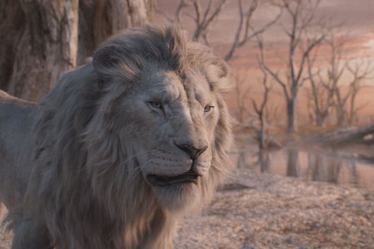 Mufasa - Der König der Löwen - Szenenbild 5