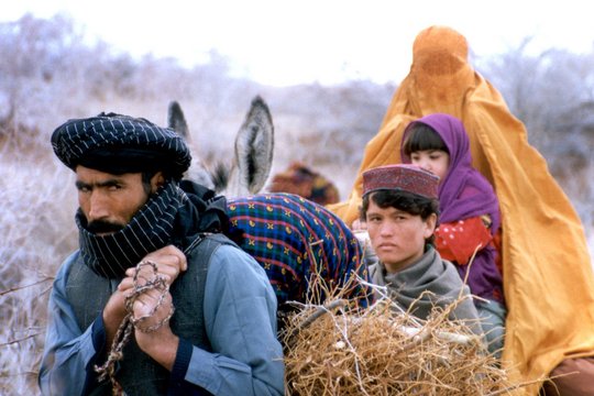 Reise nach Kandahar - Szenenbild 5