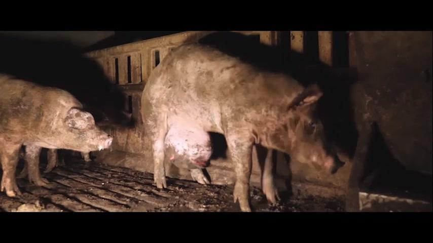 Food for Profit - Trailer - Deutsch - SD