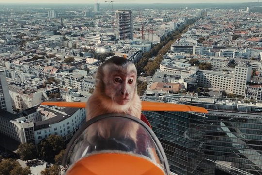 Akiko, der fliegende Affe - Szenenbild 3