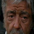José Antonio Calvo
