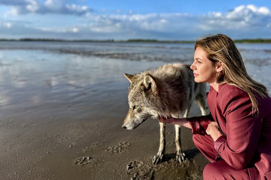 Neuer Wind im alten Land 3 - Der Wolf & Miss Altes Land - Szenenbild 4