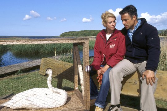 Hallo Robbie! - Staffel 4 - Szenenbild 3