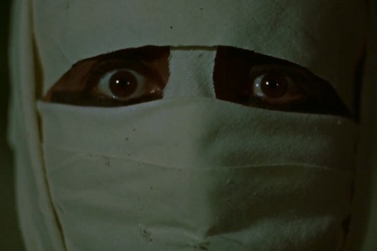 Die Rache der Pharaonen - Szenenbild 5