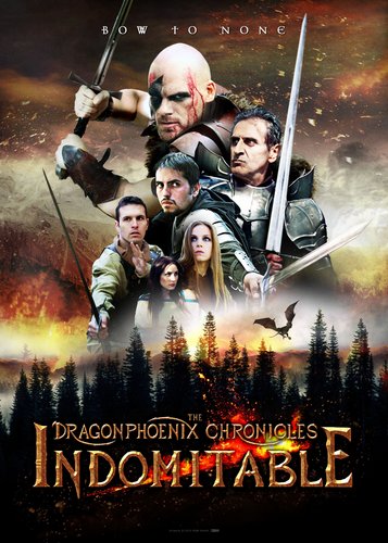 The Dragonphoenix Chronicles - Poster 1