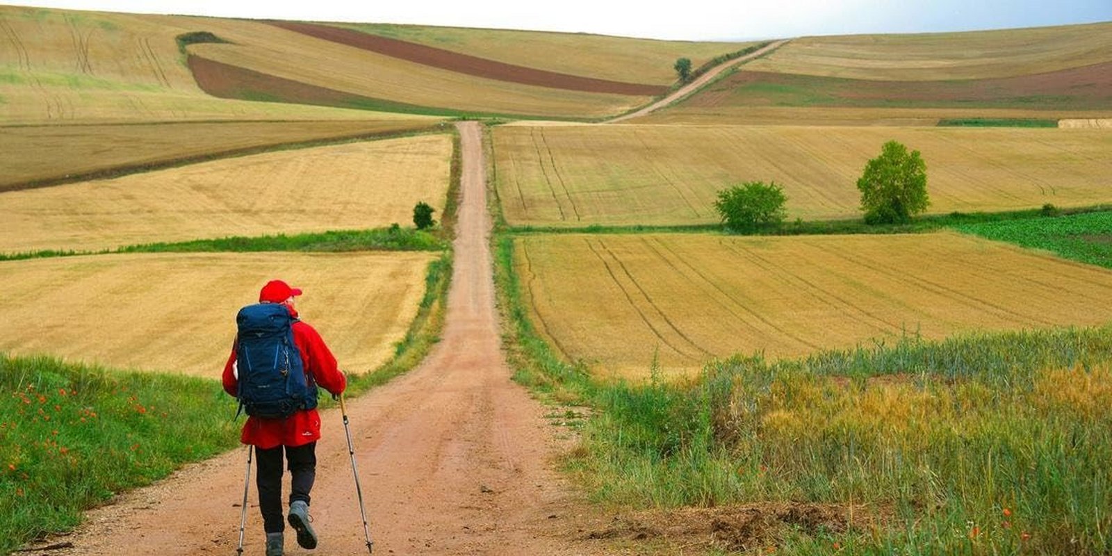 Mein Weg