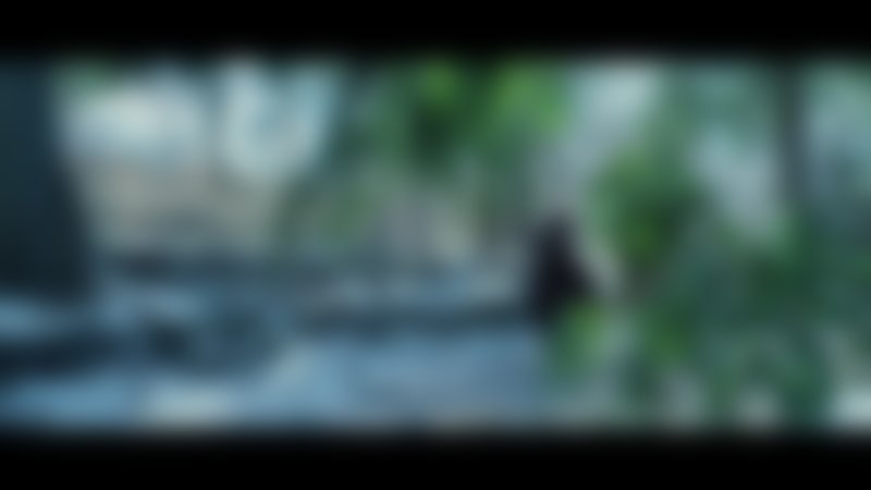 The Russian Bride - Trailer - Englisch - HD