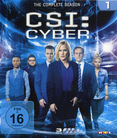 CSI: Cyber - Staffel 1