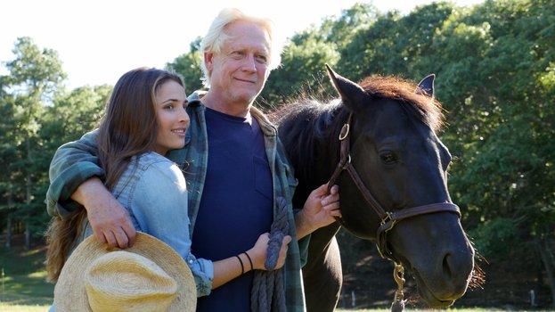 Black Beauty Neuverfilmung Black Beauty Neuverfilmung