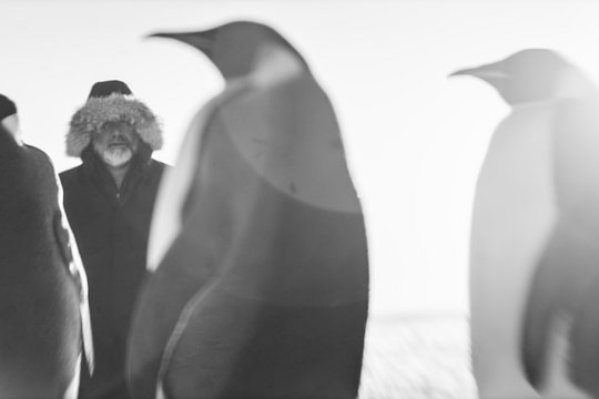 Rückkehr zum Land der Pinguine - Szenenbild 5