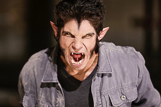 Teen Wolf - Staffel 3 - Szenenbild 15
