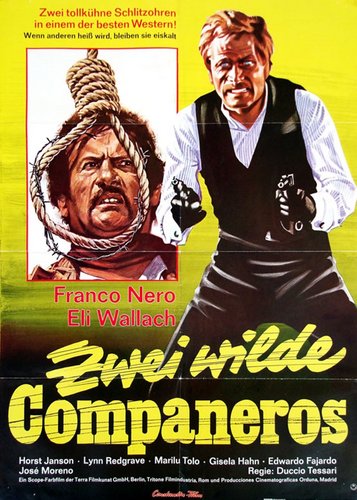Zwei wilde Companeros - Poster 1
