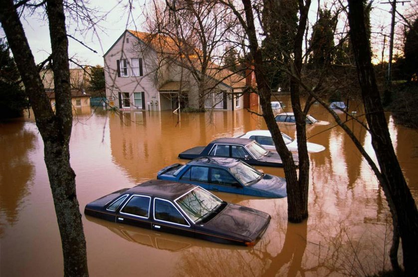 Perfect Disaster DVD oder Bluray leihen VIDEOBUSTER.de