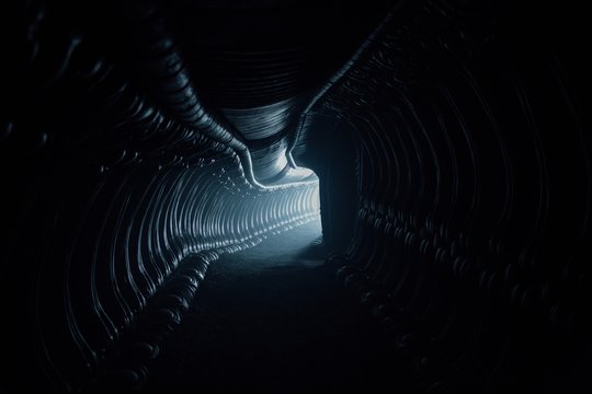 Prometheus 2 - Alien: Covenant - Szenenbild 5