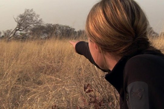 Human Journey - Wie der Mensch die Welt eroberte - Szenenbild 2
