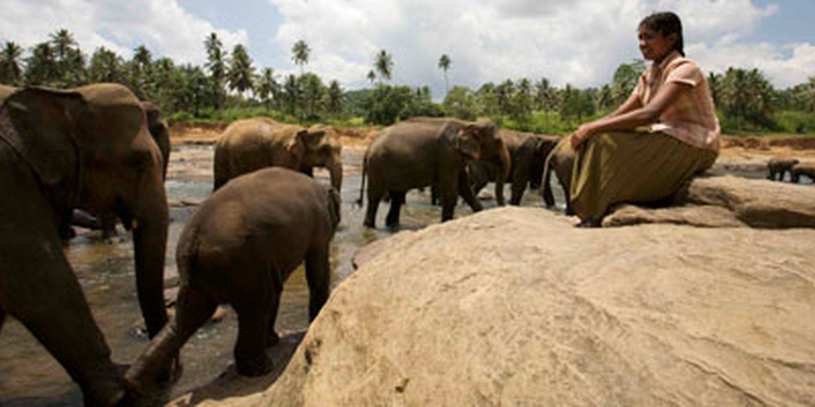 Chandani und ihr Elefant