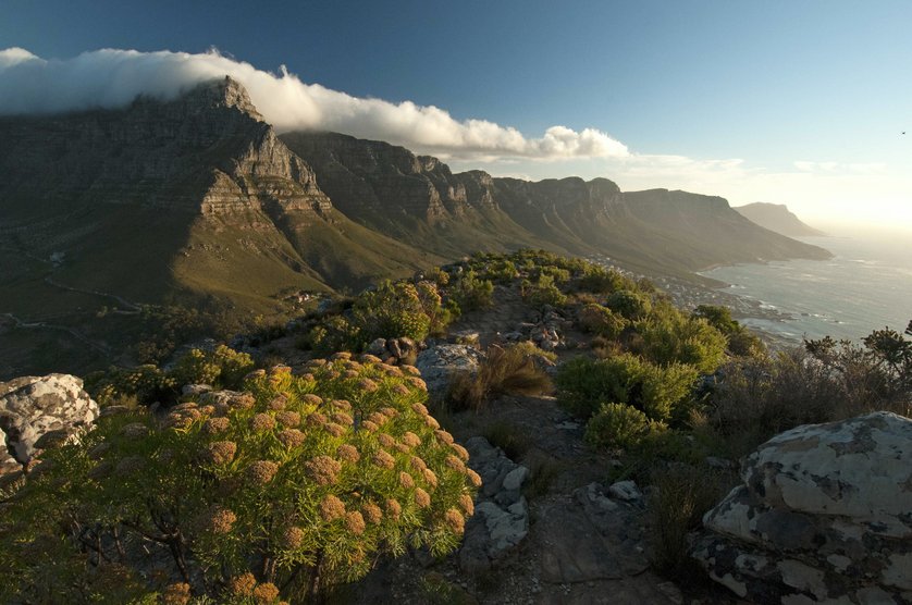 Unbekanntes Afrika Unbekanntes Afrika