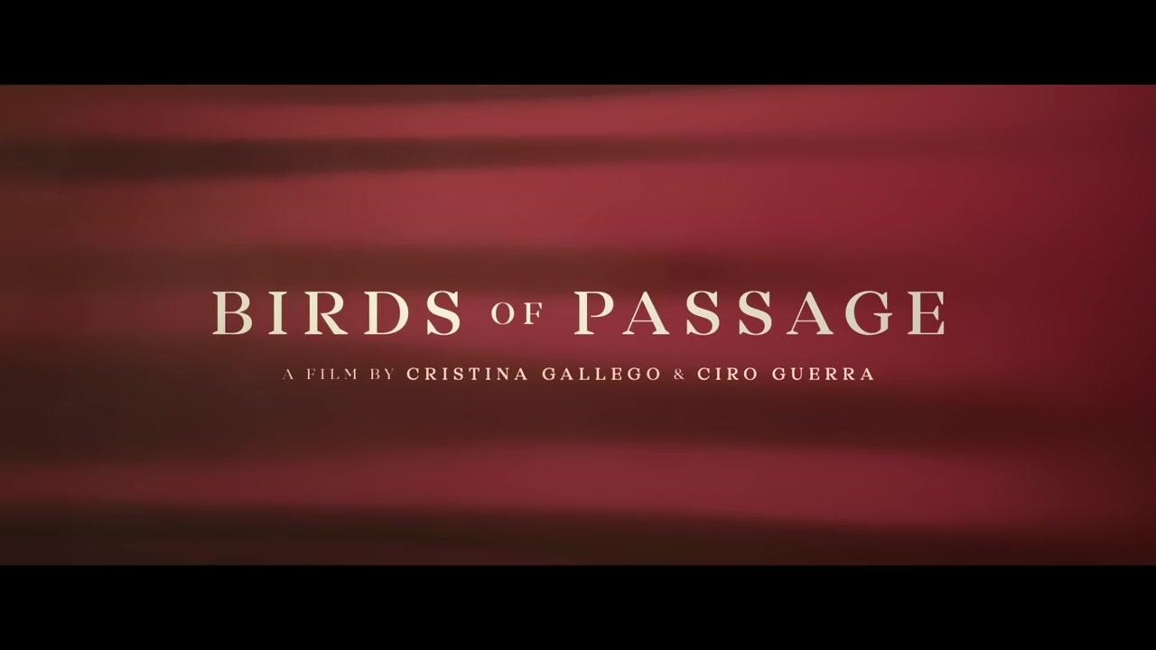 Birds of Passage - Trailer - Englisch - HD