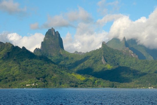 IMAX - Ultimate Wave Tahiti - Szenenbild 4