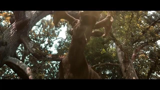 Hidden Kingdoms - Trailer - Deutsch - SD