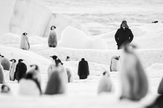 Rückkehr zum Land der Pinguine - Szenenbild 2