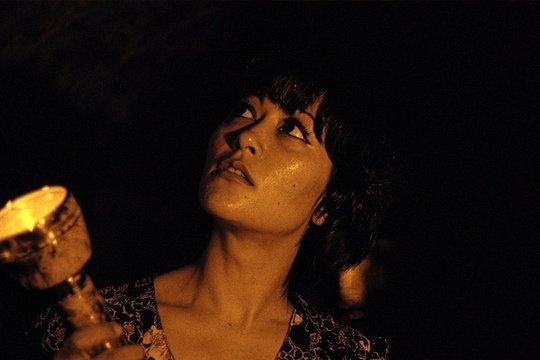 Lars von Trier's Europe Trilogy - Szenenbild 2
