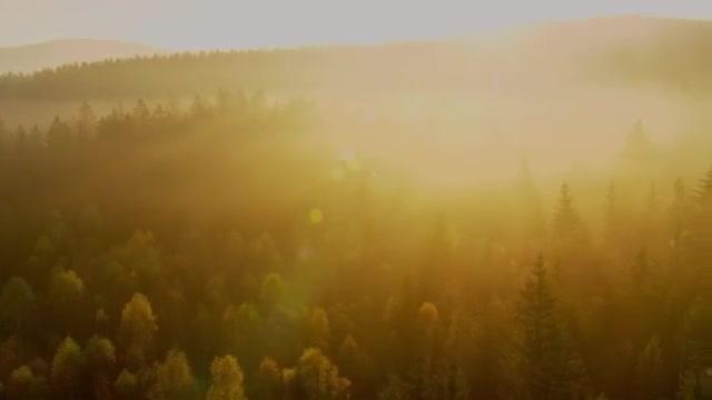 Hadwin's Judgement - Trailer - Deutsch - SD