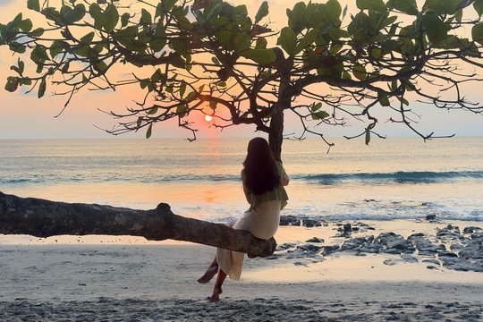 A Costa Rican Wedding - Dschungel der Gefühle - Szenenbild 10