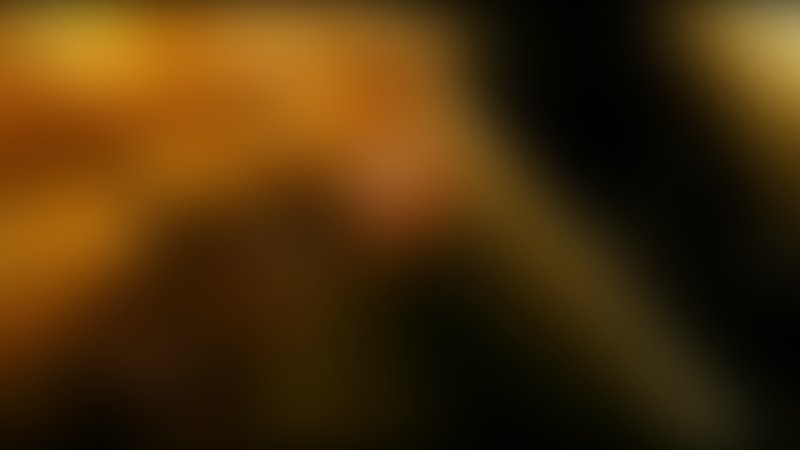 Feed - Trailer - Deutsch - SD