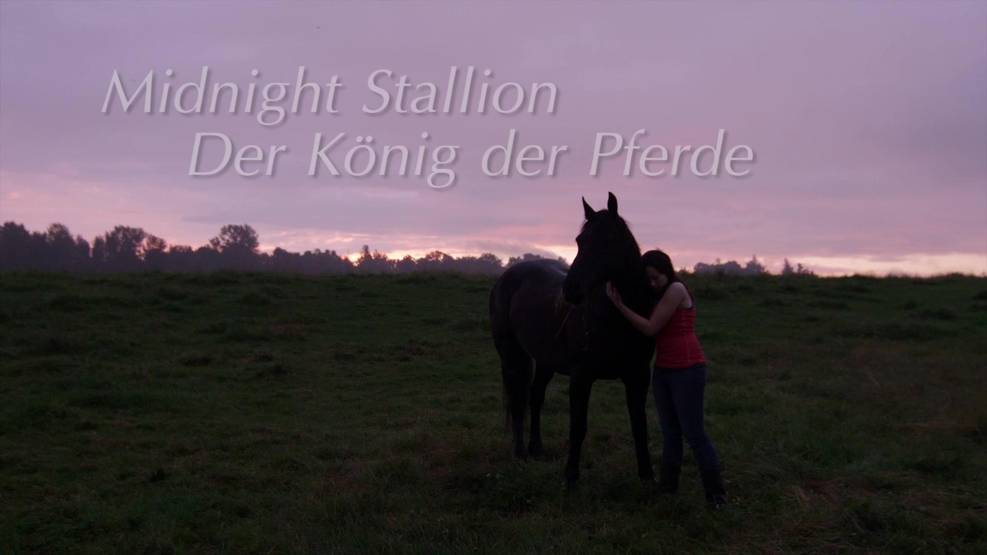 Midnight Stallion - Trailer - Deutsch