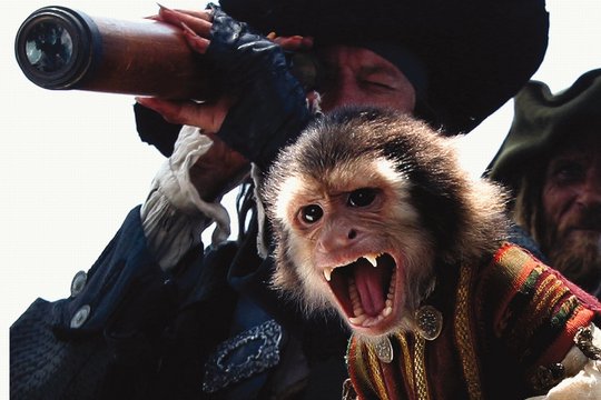 Pirates of the Caribbean - Fluch der Karibik - Szenenbild 17