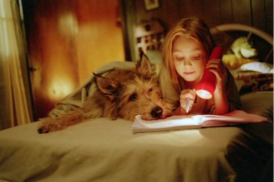 Winn-Dixie - Mein zotteliger Freund - Szenenbild 6